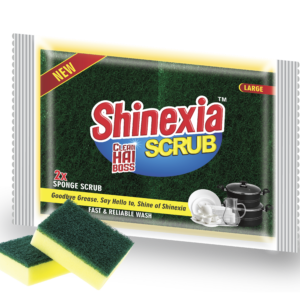 Sponge Scrub Large 2x